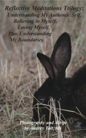 Reflective Meditations Trilogy