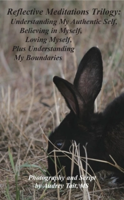 Bertrand.pt - Reflective Meditations Trilogy