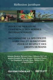Reflexion Juridique : Pour Une Meilleure Coherence Des Normes Int