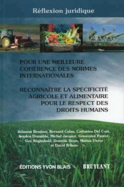 Bertrand.pt - Reflexion Juridique : Pour Une Meilleure Coherence Des Normes Int