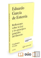 Reflexiones Sobre La Ley Y Los Principios Generales Del Derecho (Papel + E-Book)