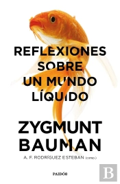 Reflexiones Sobre Un Mundo Líquido