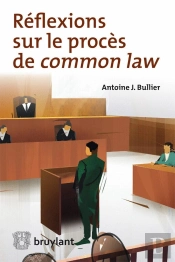 Réflexions Sur Le Procès De Common Law