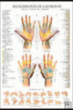 Bertrand.pt - Reflexologia De Las Manos Poster