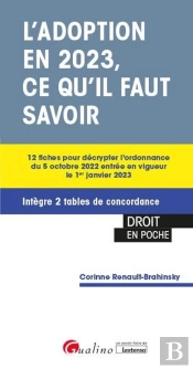 Reforme De L'Adoption : Ce Que Prevoit La Loi