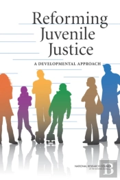 Reforming Juvenile Justice