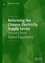 Reforming The Chinese Electricity Supply Sector