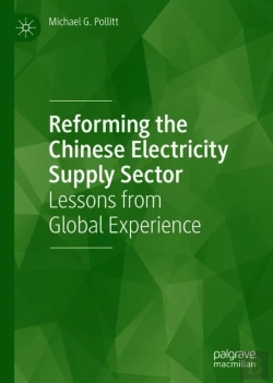 Bertrand.pt - Reforming The Chinese Electricity Supply Sector