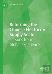 Reforming The Chinese Electricity Supply Sector