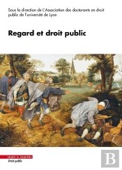 Regard Et Droit Public