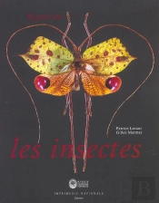 Regard Sur Les Insectes