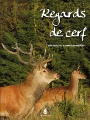 Regards De Cerf
