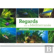 Regards Sur La Méditerranée Abécédaire Des Herbiers De Posidonie : Abécédaire Des Herbiers De Posidonie