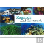 Regards Sur La Méditerranée