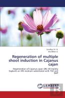 Regeneration Of Multiple Shoot Induction In Cajanus Cajan