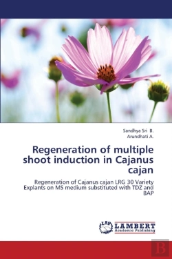 Bertrand.pt - Regeneration Of Multiple Shoot Induction In Cajanus Cajan