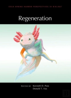 Bertrand.pt - Regeneration
