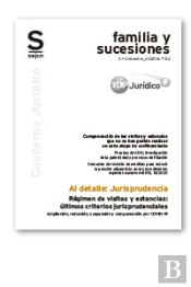 Regimen De Visitas Y Estancias: Ultimos Criterios Jurisprude