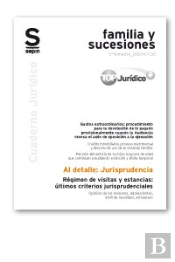 Régimen De Visitas Y Estancias: Últimos Criterios Jurisprudenciales