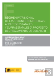 Regimen Patrimonial De Las Uniones Registradas Aspectos Est