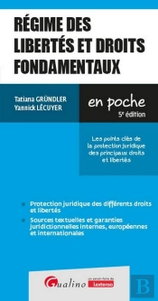 Régimes Des Libertés Et Droits Fondamentaux : Les Points Clés De La Protection Juridique Des Principaux Droits Et Libertés