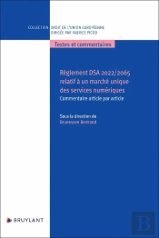 Règlement Dsa 2022/2065 Relatif À Un Marché Unique Des Services Numériques