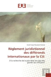 Reglement Juridictionnel Des Differends Internationaux Par La Cij:
