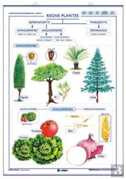 Bertrand.pt - Regne Vegetal Fongs