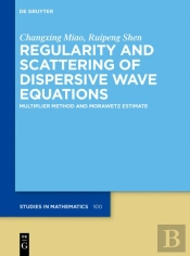 Regularity And Scattering Of Dispersive Wave Equations
