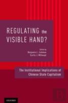 Regulating The Visible Hand?
