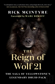 Reign Of Wolf 21