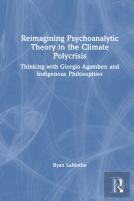 Reimagining Psychoanalytic Theory In The Climate Polycrisis