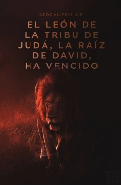 Bertrand.pt - Reina Valera 1960, Santa Biblia, Letra Grande, Tapa Dura, El Leon
