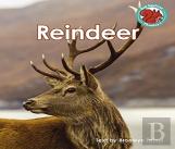 Reindeer