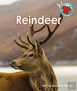 Bertrand.pt - Reindeer