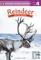 Reindeer