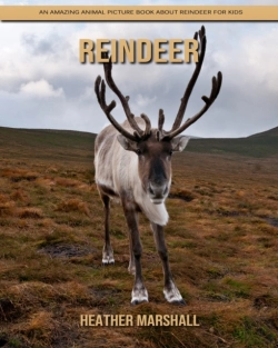Bertrand.pt - Reindeer