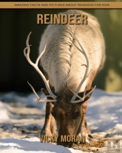 Bertrand.pt - Reindeer