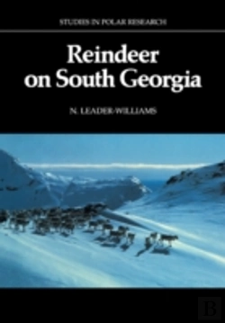 Bertrand.pt - Reindeer On South Georgia