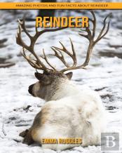 Reindeer