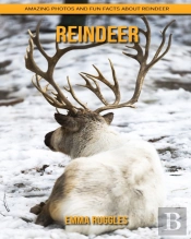 Reindeer