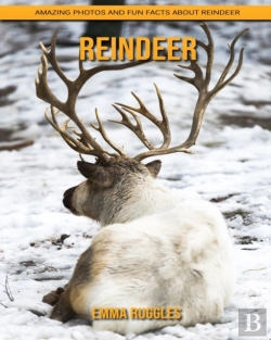 Bertrand.pt - Reindeer