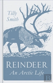 Reindeer