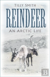 Reindeer