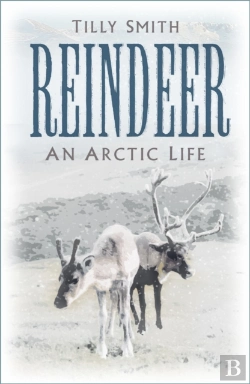 Bertrand.pt - Reindeer