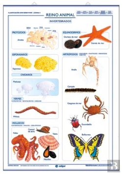 Bertrand.pt - Reino Animal Vertebrados Invertebrados