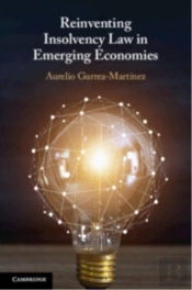 Reinventing Insolvency Law In Emerging Economies