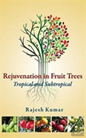 Rejuvenation In Fruit Trees