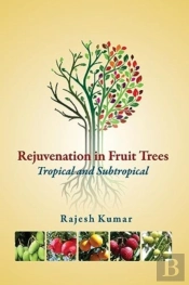 Rejuvenation In Fruit Trees