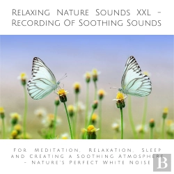 Bertrand.pt - Relaxing Nature Sounds (Without Music) - Recording Of Soothing Nature Sounds